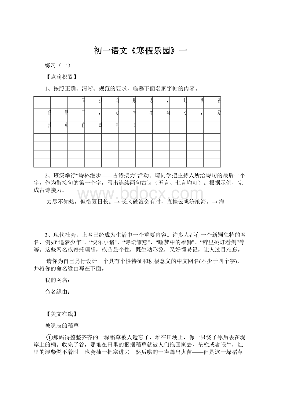 初一语文《寒假乐园》一文档格式.docx_第1页