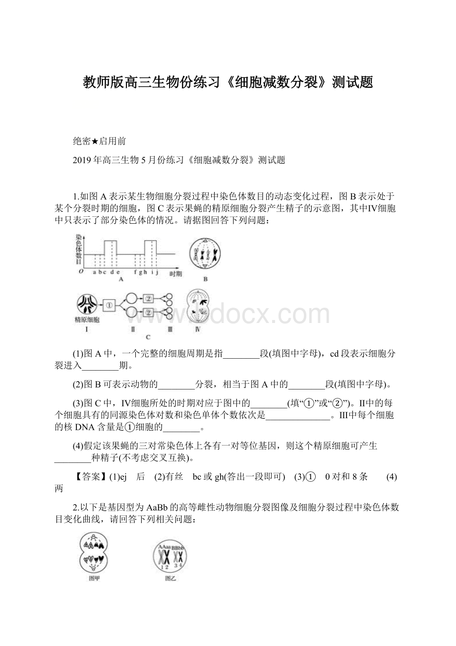 教师版高三生物份练习《细胞减数分裂》测试题Word下载.docx_第1页