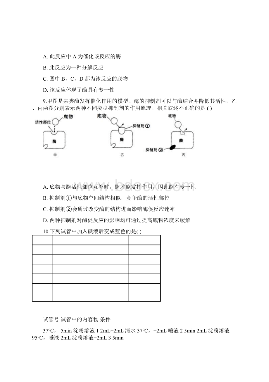 届高考生物一轮复习第8讲降低化学反应活化能的酶练习练习Word文档格式.docx_第3页