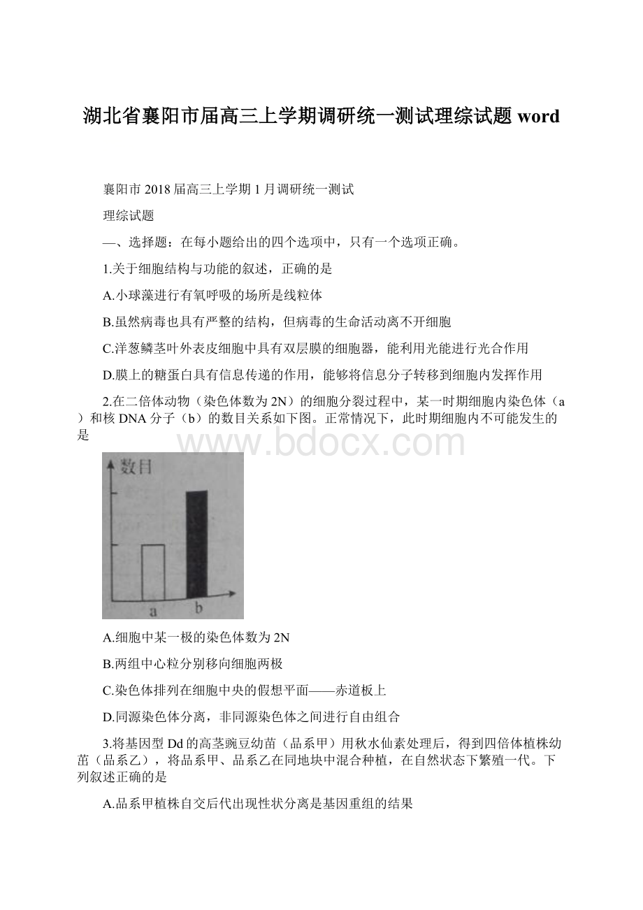 湖北省襄阳市届高三上学期调研统一测试理综试题wordWord文档下载推荐.docx