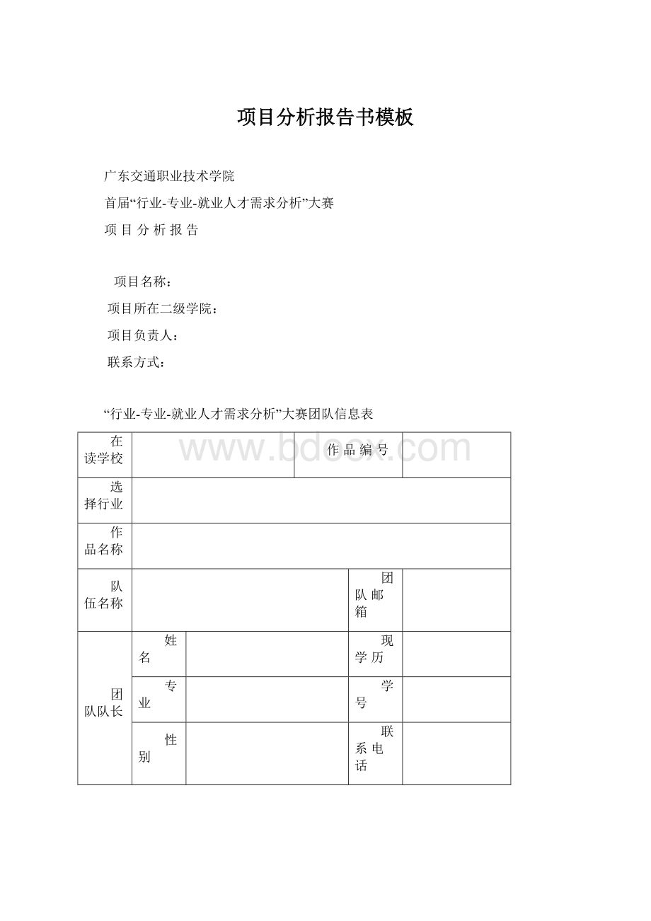 项目分析报告书模板Word格式.docx_第1页