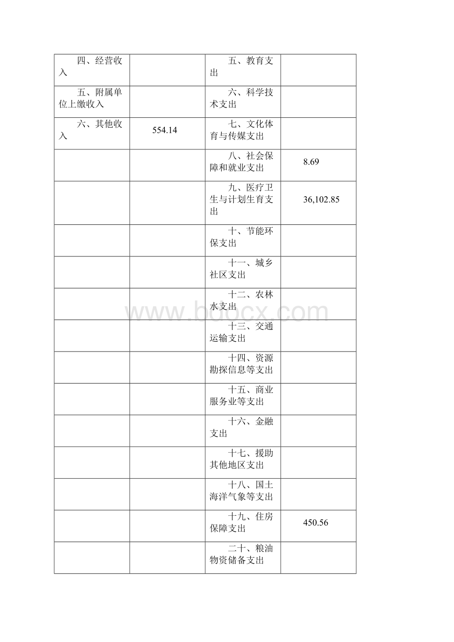 上海浦东新区光明中医医院单位决算Word文档下载推荐.docx_第2页