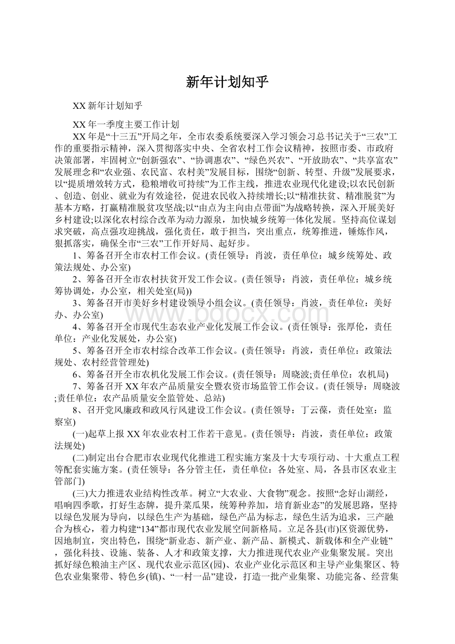 新年计划知乎文档格式.docx_第1页