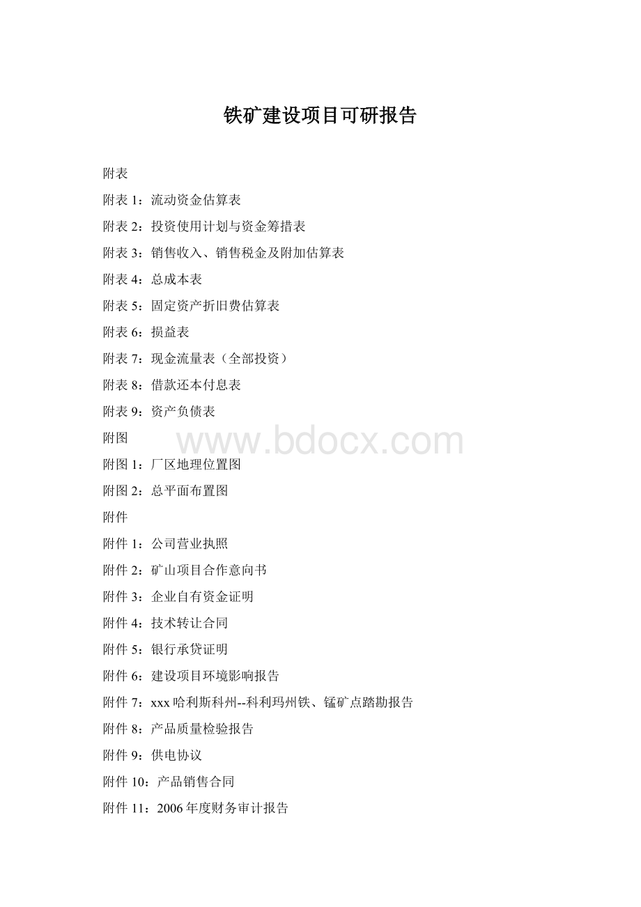 铁矿建设项目可研报告Word格式.docx