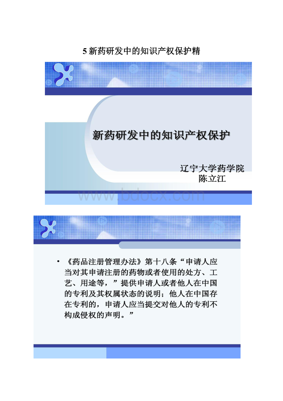 5新药研发中的知识产权保护精Word下载.docx