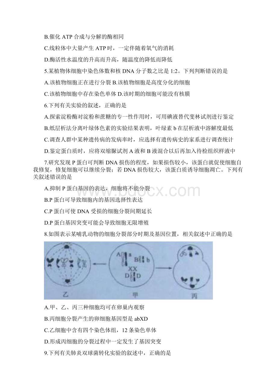 全国校级联考word黑龙江齐齐哈尔市五校联谊届高三上学期期末联考生物试题.docx_第2页