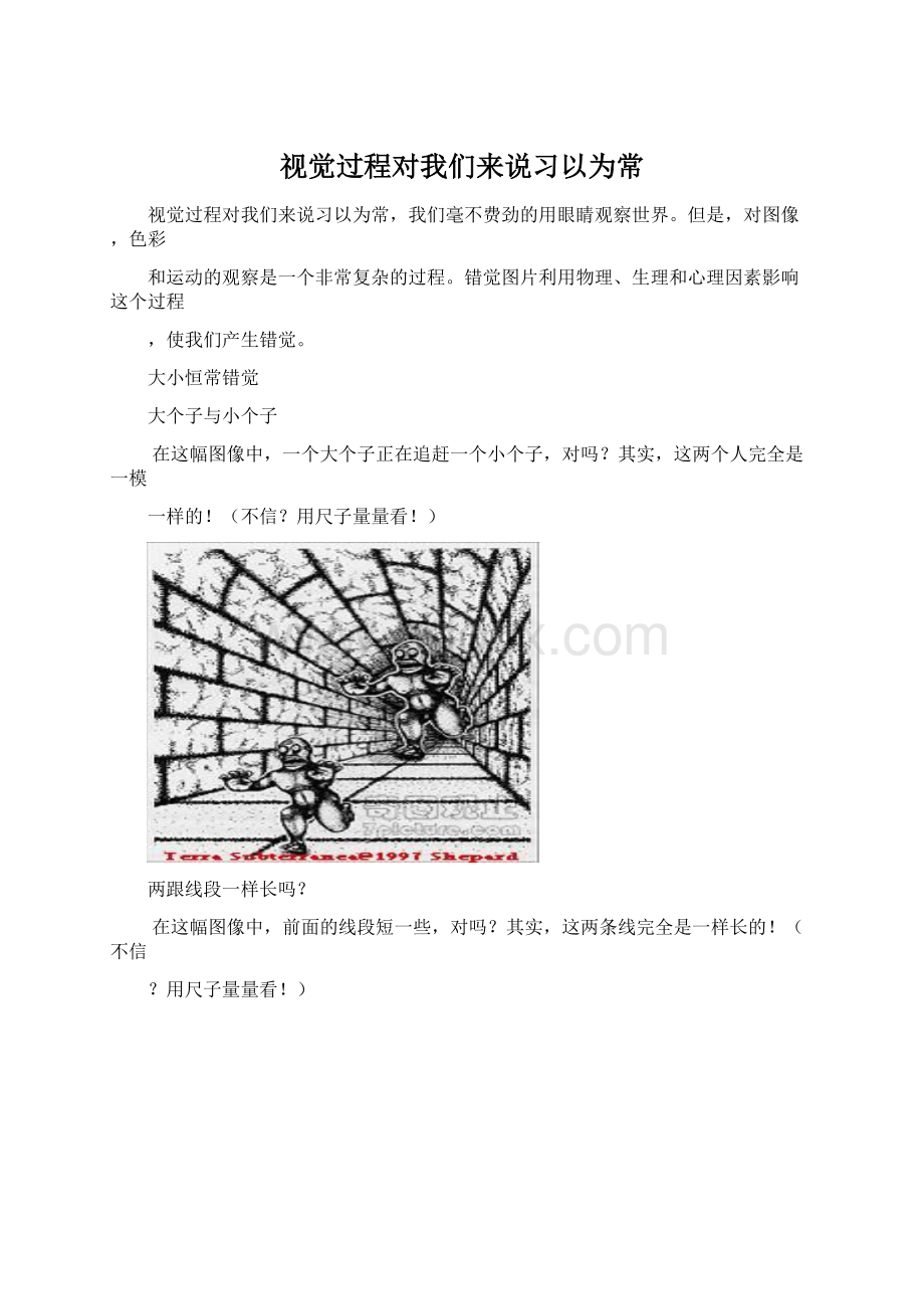 视觉过程对我们来说习以为常.docx