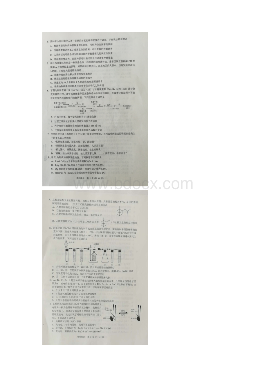 山东省日照市届高三校际联合期中考试理科综合试题含答案.docx_第2页