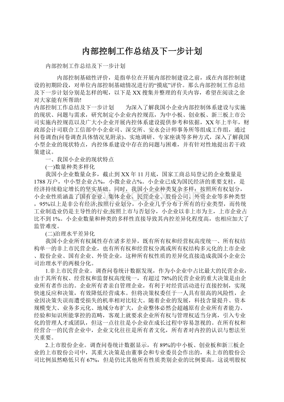 内部控制工作总结及下一步计划.docx_第1页