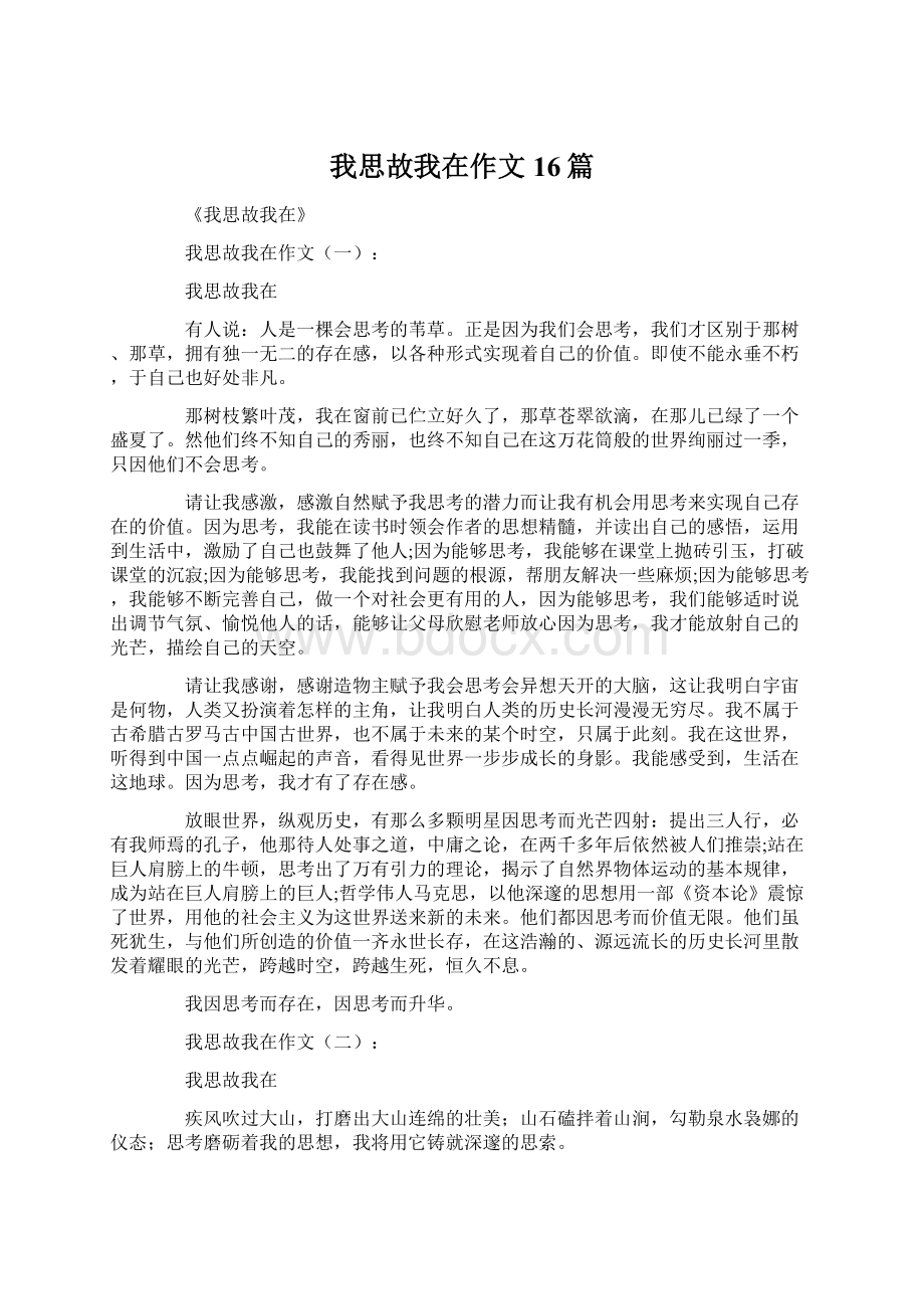 我思故我在作文16篇Word文档格式.docx