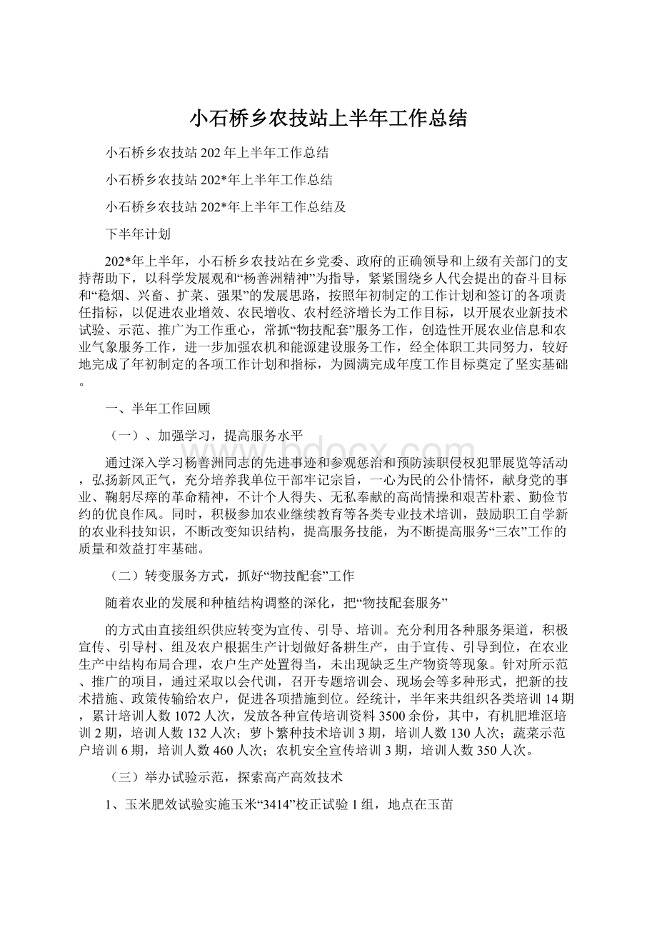 小石桥乡农技站上半年工作总结文档格式.docx