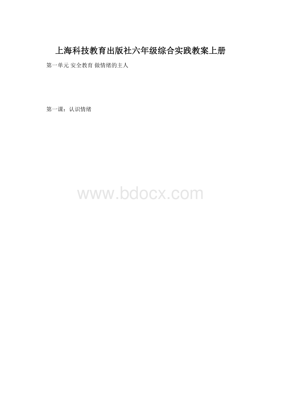 上海科技教育出版社六年级综合实践教案上册.docx