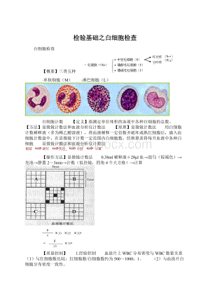 检验基础之白细胞检查Word下载.docx