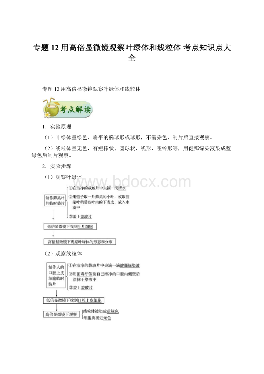 专题12 用高倍显微镜观察叶绿体和线粒体 考点知识点大全Word下载.docx_第1页