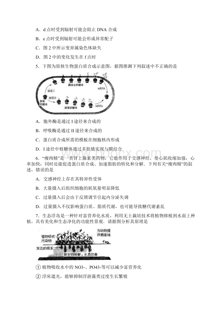 德州二模山东省德州市届高三第二次模拟考试理综Word格式文档下载.docx_第3页