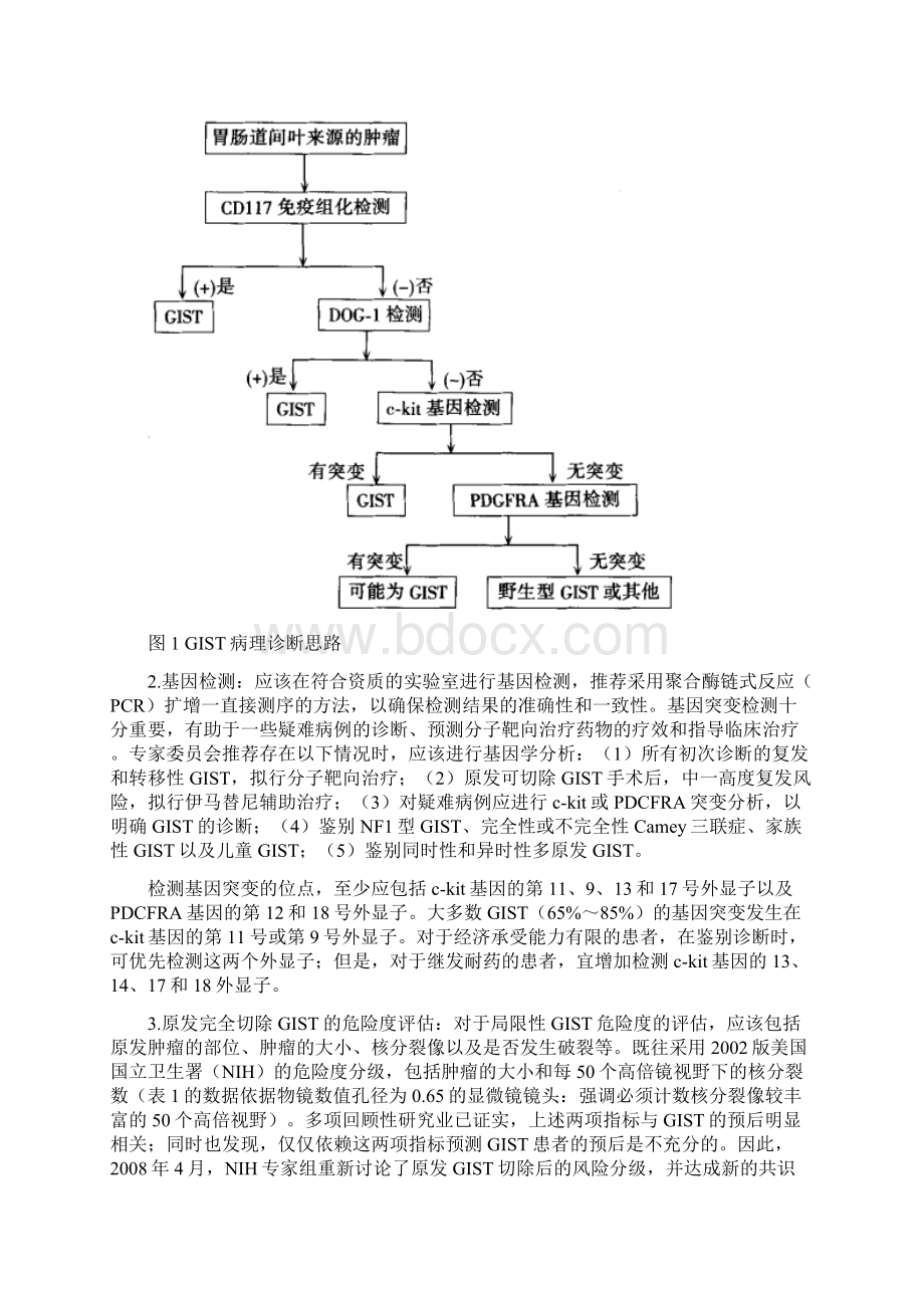 中国胃肠道间质瘤共识Word文档下载推荐.docx_第2页