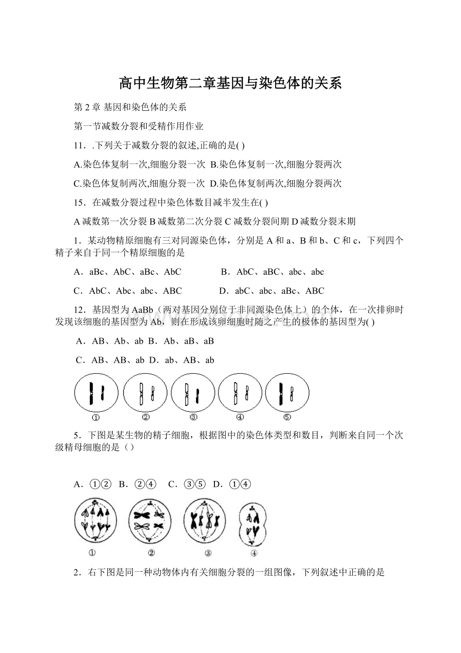 高中生物第二章基因与染色体的关系.docx_第1页