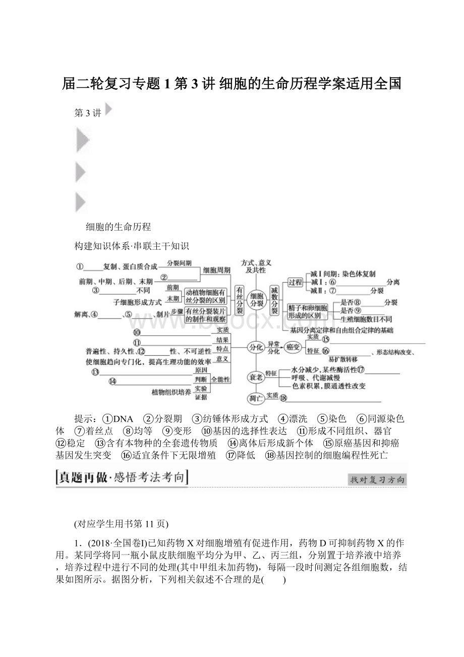 届二轮复习专题1第3讲 细胞的生命历程学案适用全国Word文件下载.docx_第1页