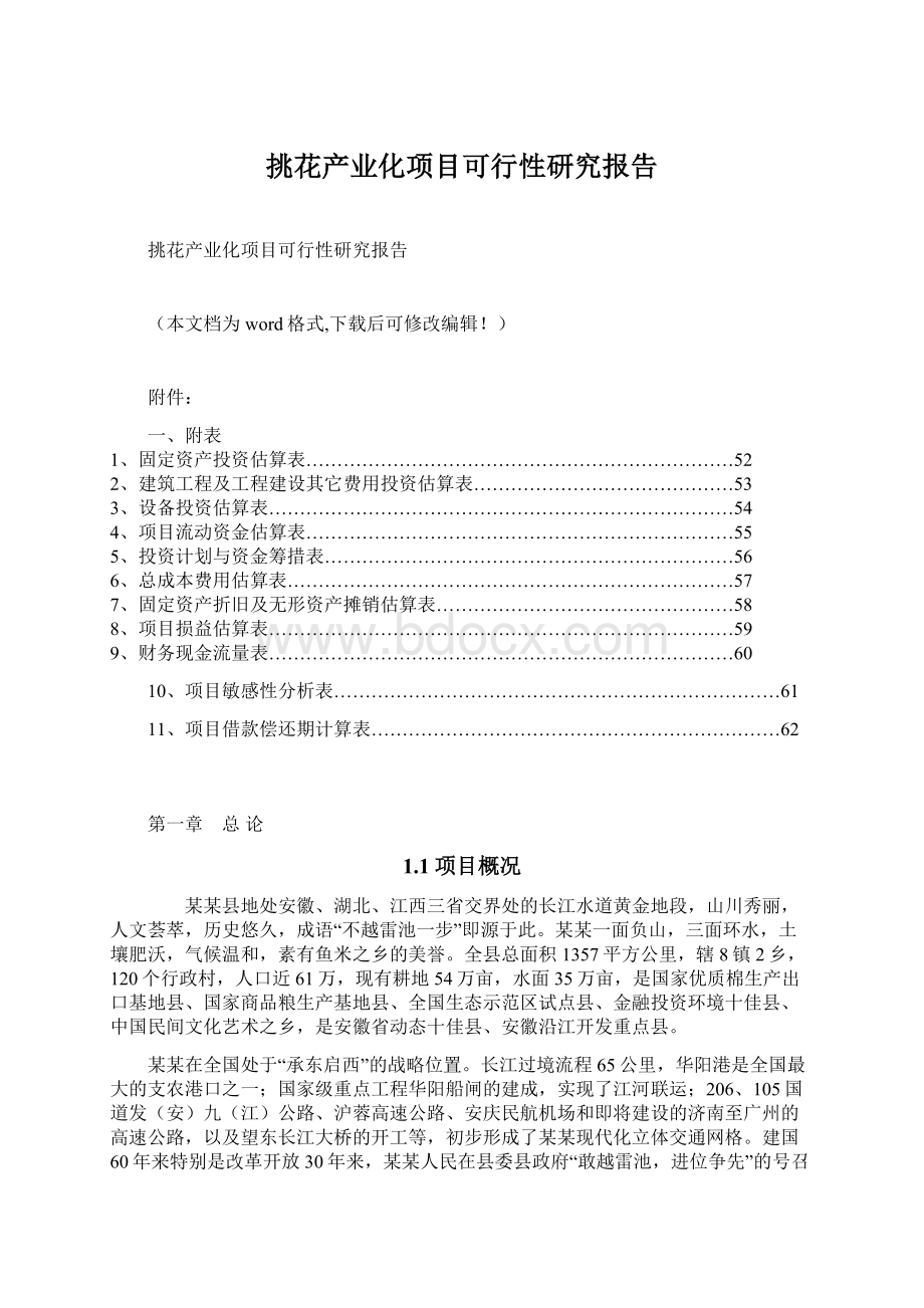 挑花产业化项目可行性研究报告.docx_第1页