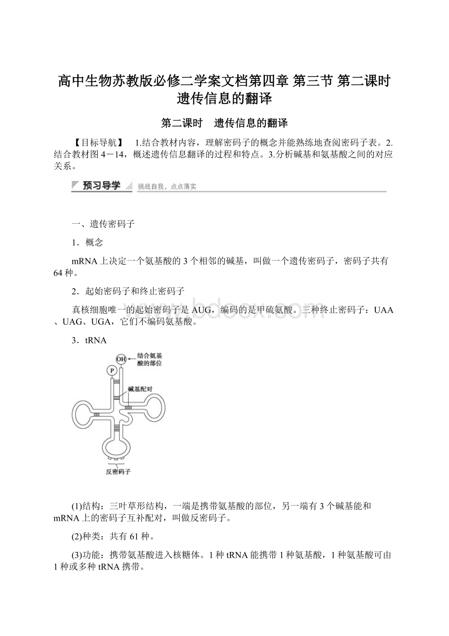 高中生物苏教版必修二学案文档第四章 第三节 第二课时 遗传信息的翻译.docx