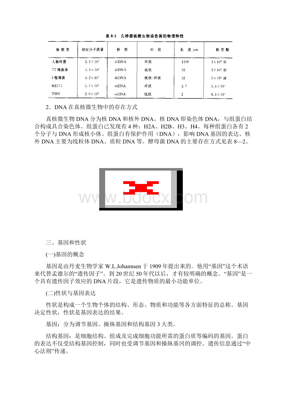 微生物的遗传与变异文档格式.docx_第3页