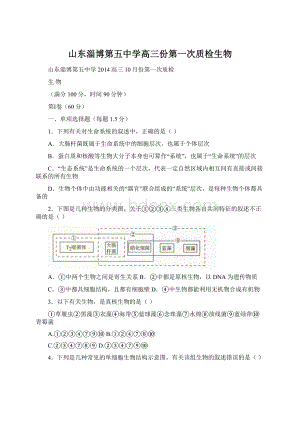 山东淄博第五中学高三份第一次质检生物Word格式.docx