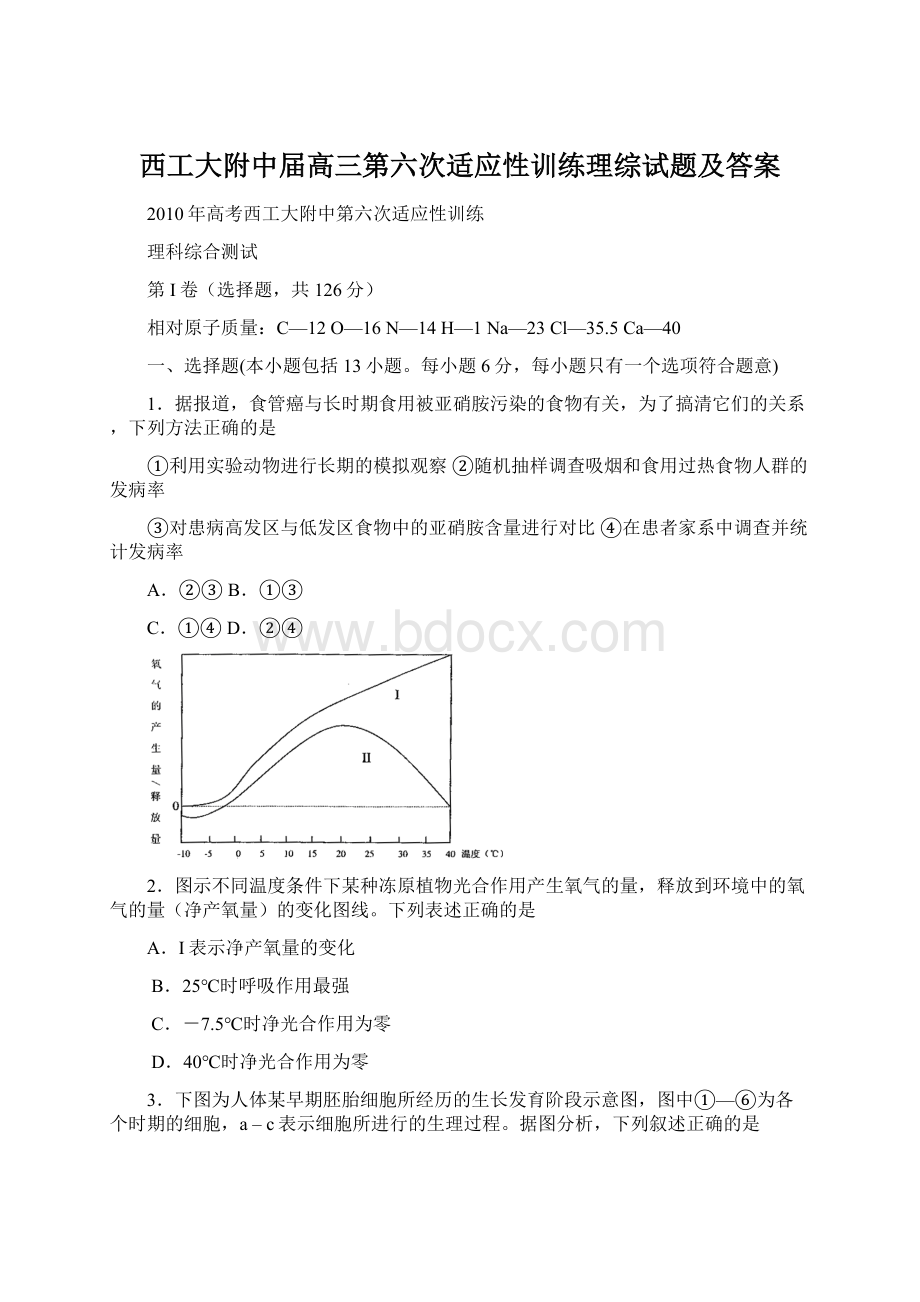 西工大附中届高三第六次适应性训练理综试题及答案Word文档格式.docx