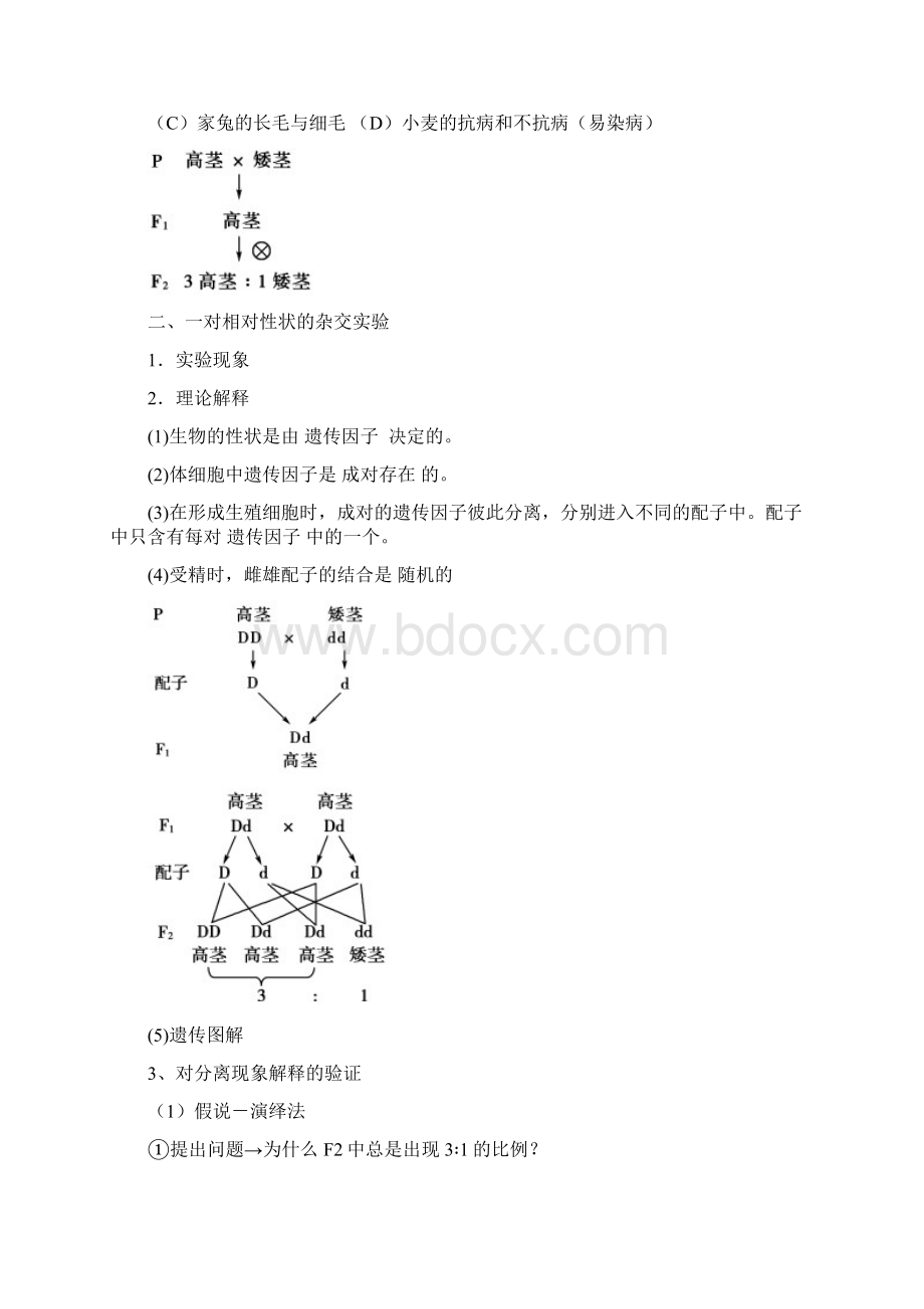 高三一轮复习教案11 孟德尔的豌豆杂交实验一.docx_第2页