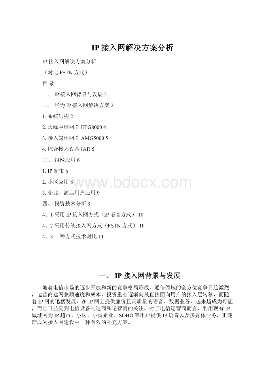 IP接入网解决方案分析.docx_第1页