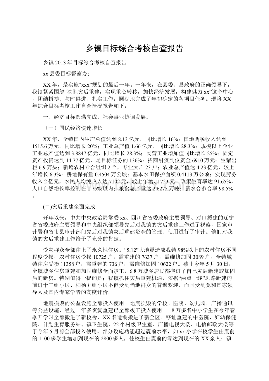 乡镇目标综合考核自查报告Word文档下载推荐.docx