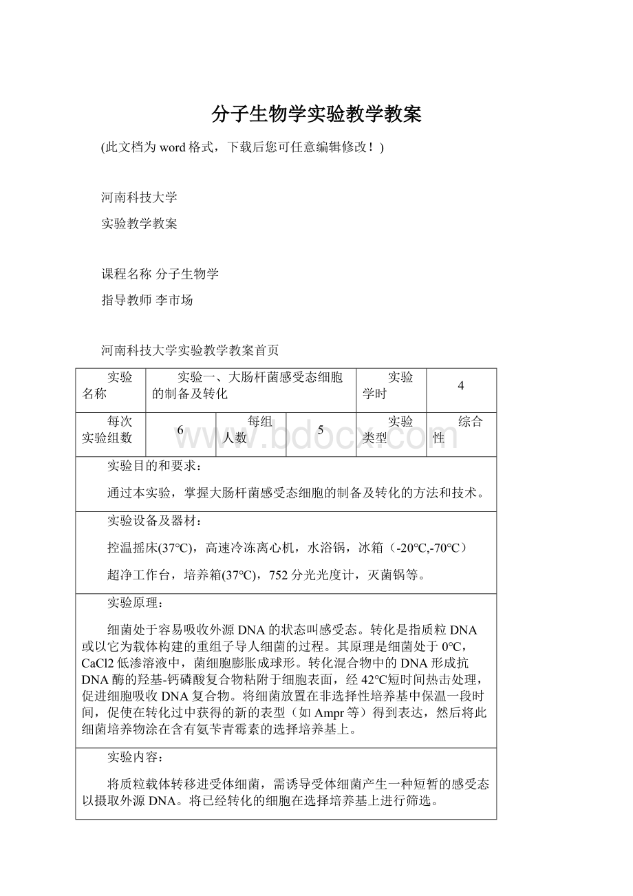 分子生物学实验教学教案Word文档格式.docx_第1页