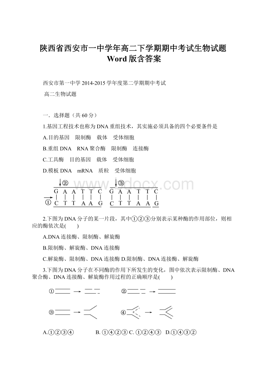 陕西省西安市一中学年高二下学期期中考试生物试题Word版含答案Word格式.docx