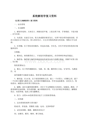 系统解剖学复习资料Word文档下载推荐.docx