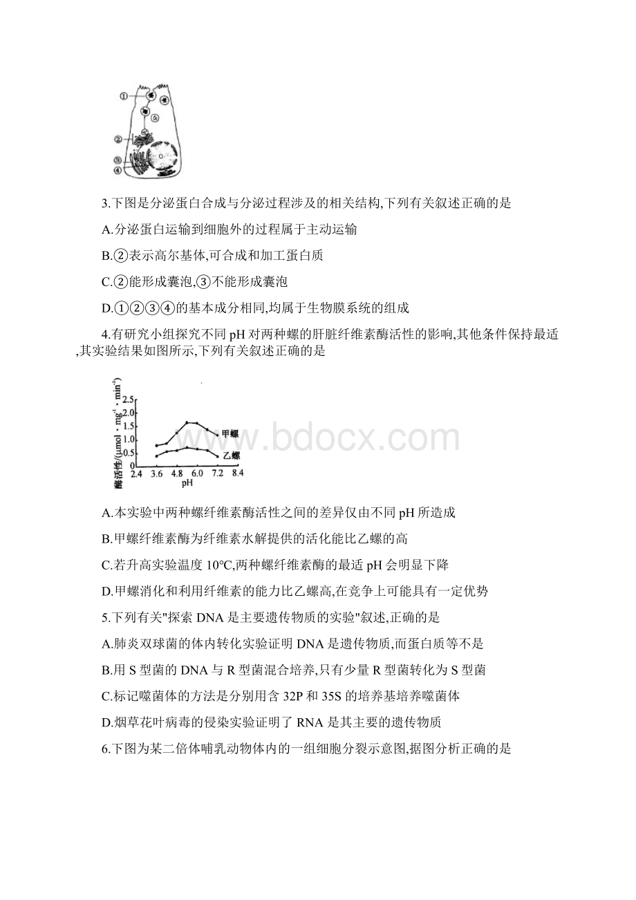 广东省普通高中届高三毕业班综合能力测试生物试题及答案Word文档格式.docx_第2页