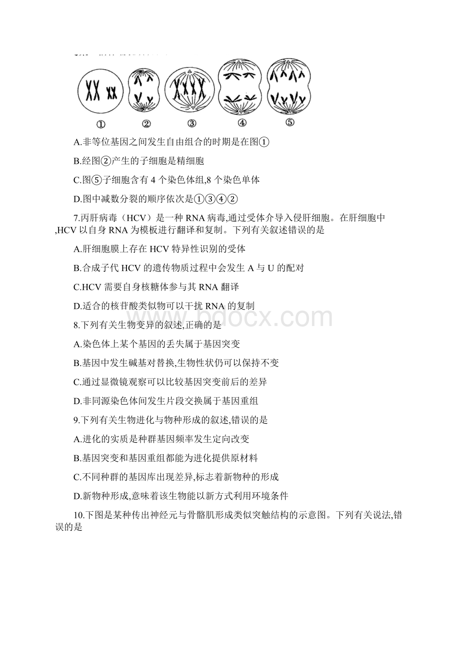 广东省普通高中届高三毕业班综合能力测试生物试题及答案Word文档格式.docx_第3页