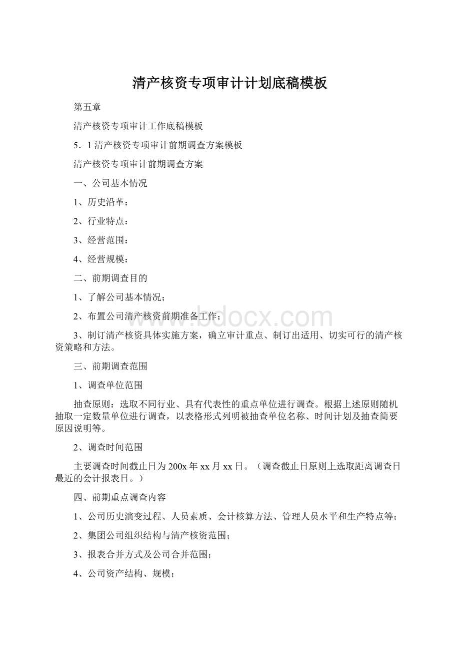 清产核资专项审计计划底稿模板文档格式.docx