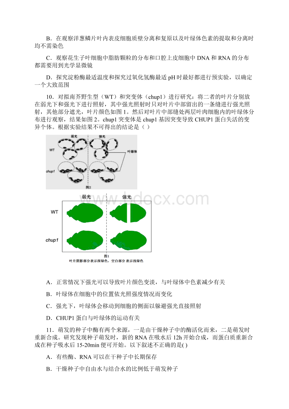 届湖南省浏阳一中高三上学期第二次月考生物试题及答案.docx_第3页