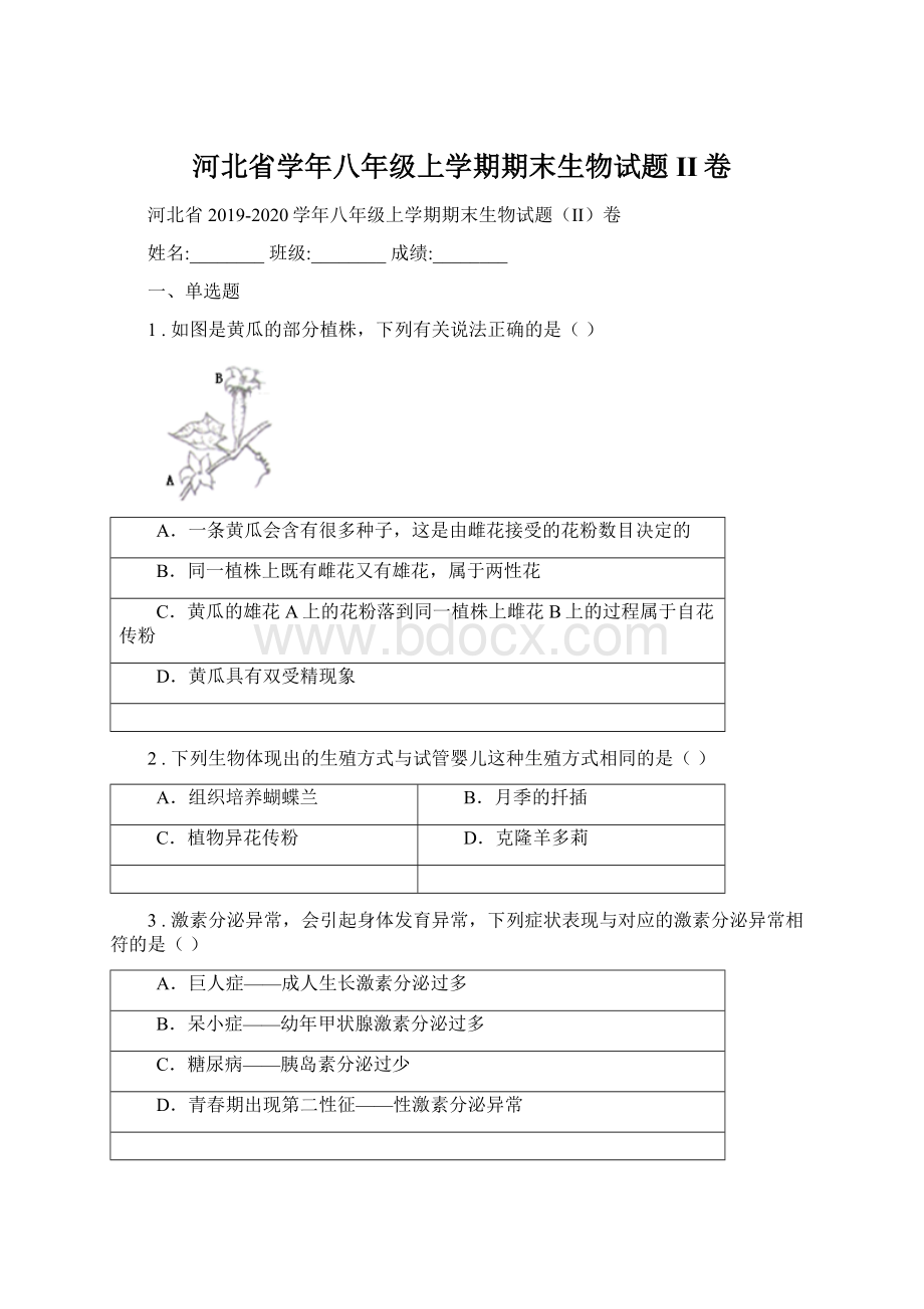 河北省学年八年级上学期期末生物试题II卷Word文档下载推荐.docx