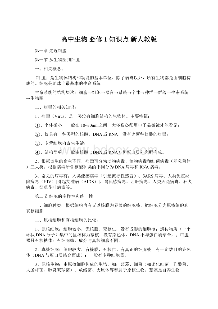 高中生物 必修1 知识点 新人教版Word格式文档下载.docx_第1页