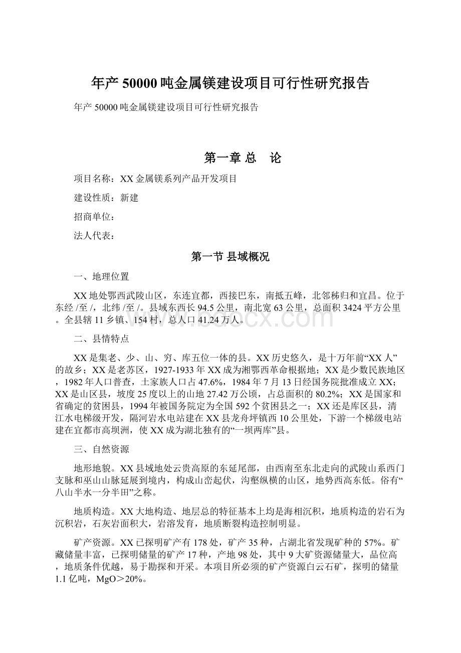 年产50000吨金属镁建设项目可行性研究报告Word文档下载推荐.docx