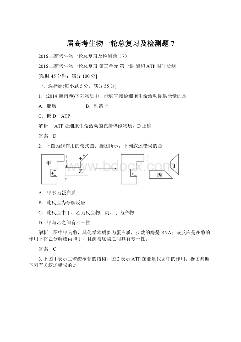 届高考生物一轮总复习及检测题 7文档格式.docx_第1页