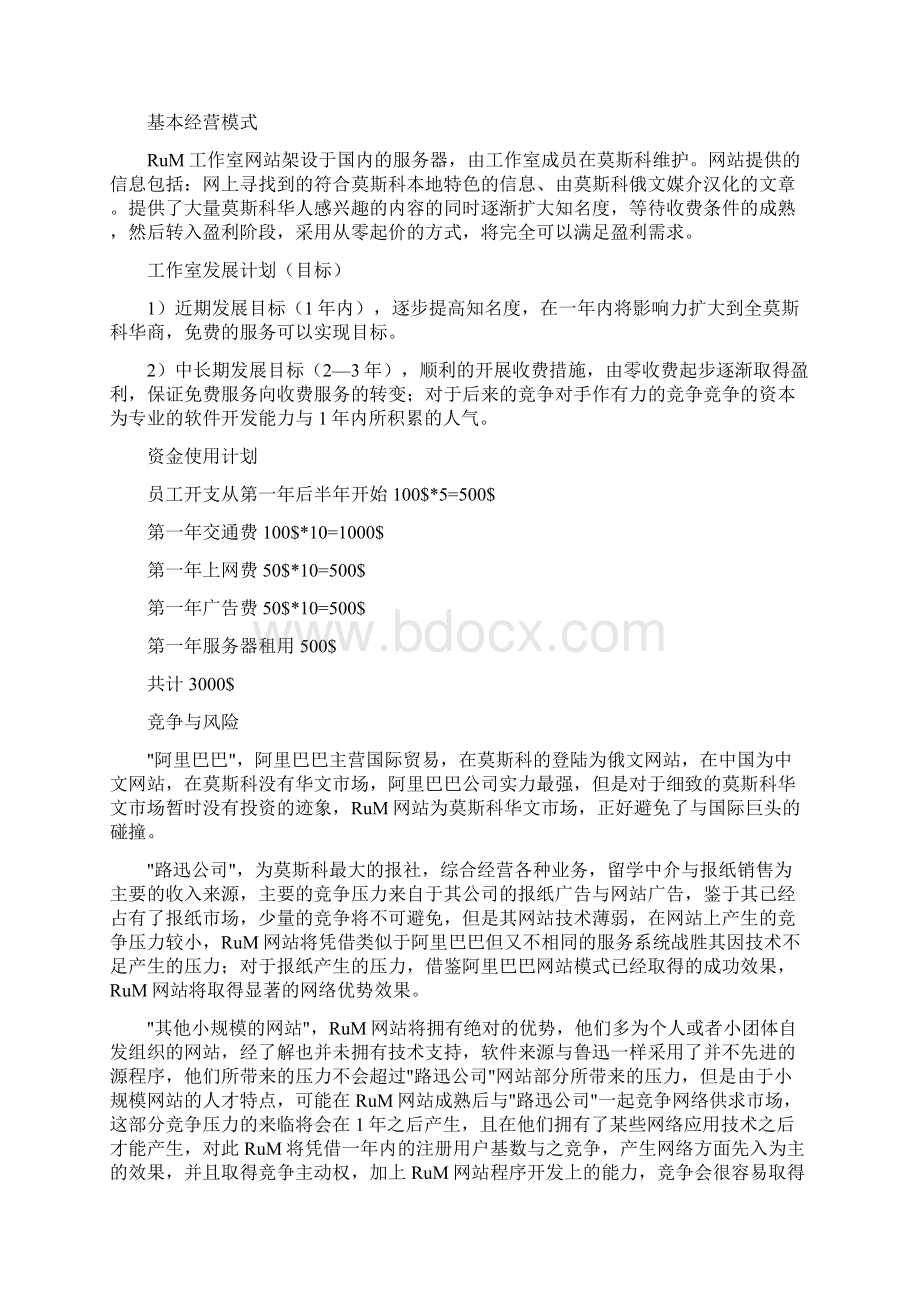 网站商业计划书Word文件下载.docx_第2页