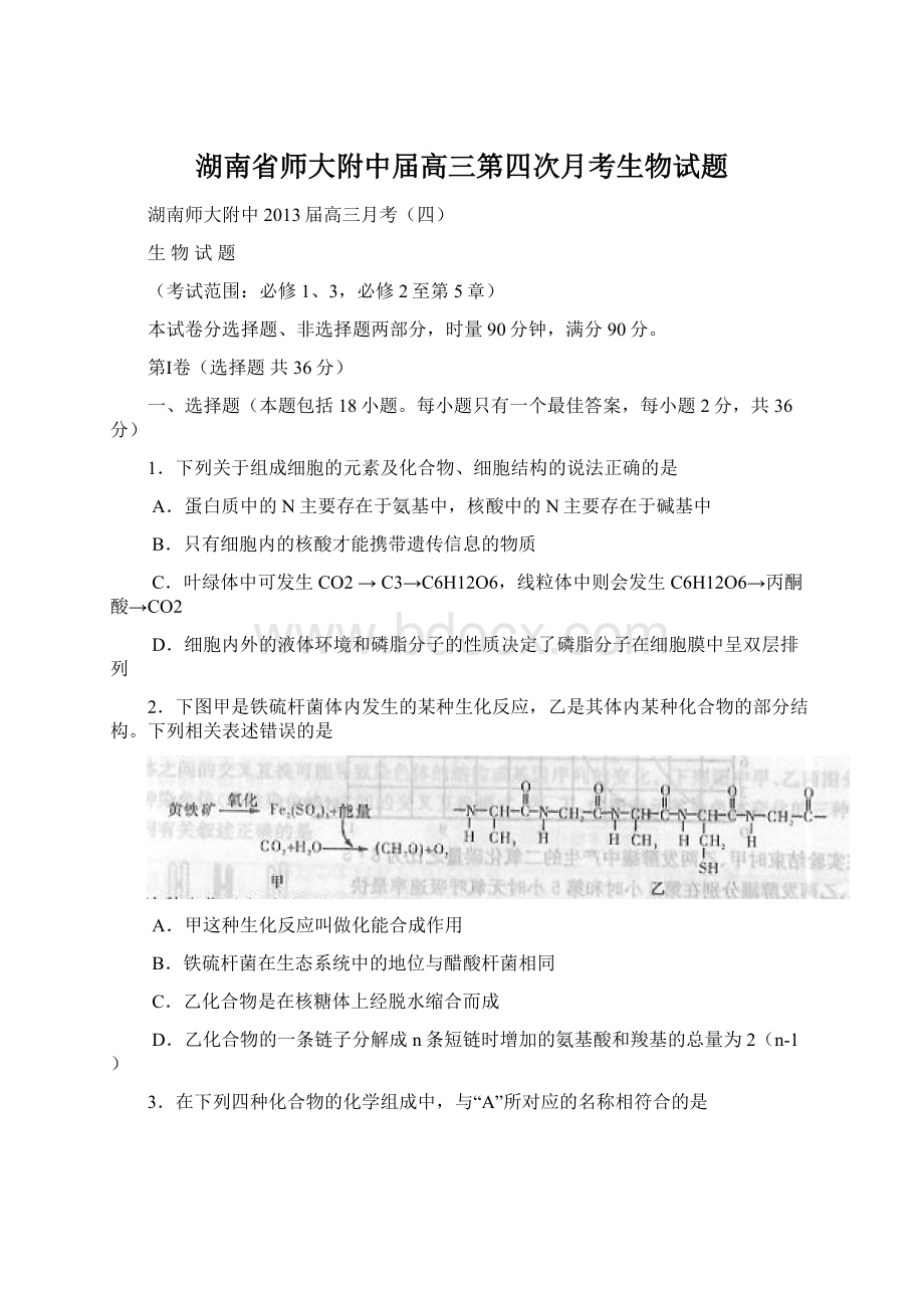 湖南省师大附中届高三第四次月考生物试题.docx_第1页