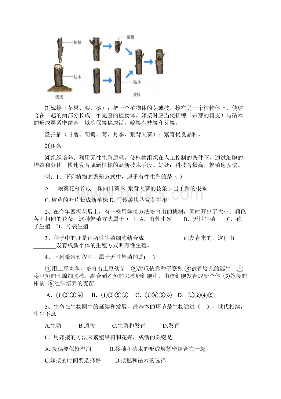 生物八下知识点.docx_第2页