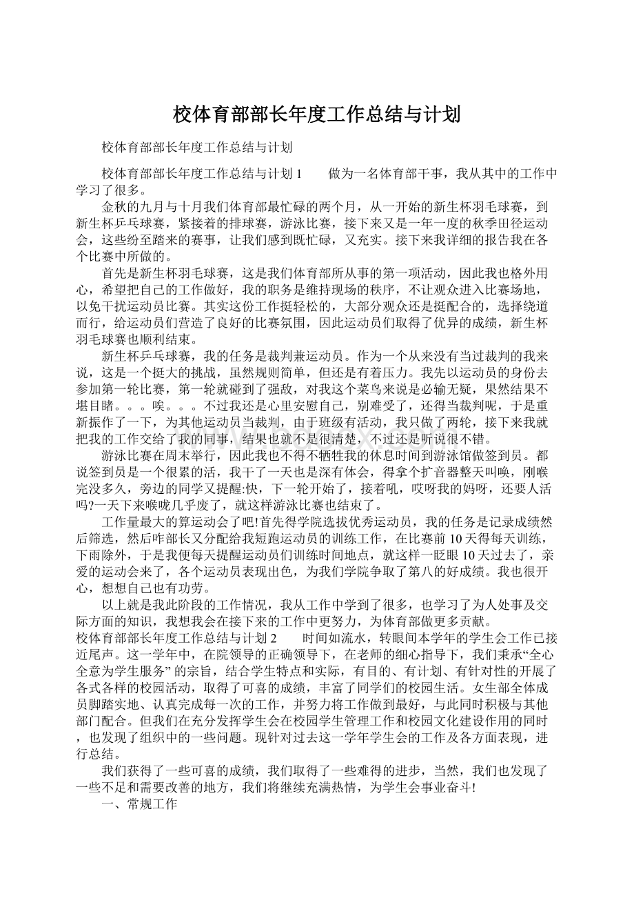 校体育部部长年度工作总结与计划Word格式.docx