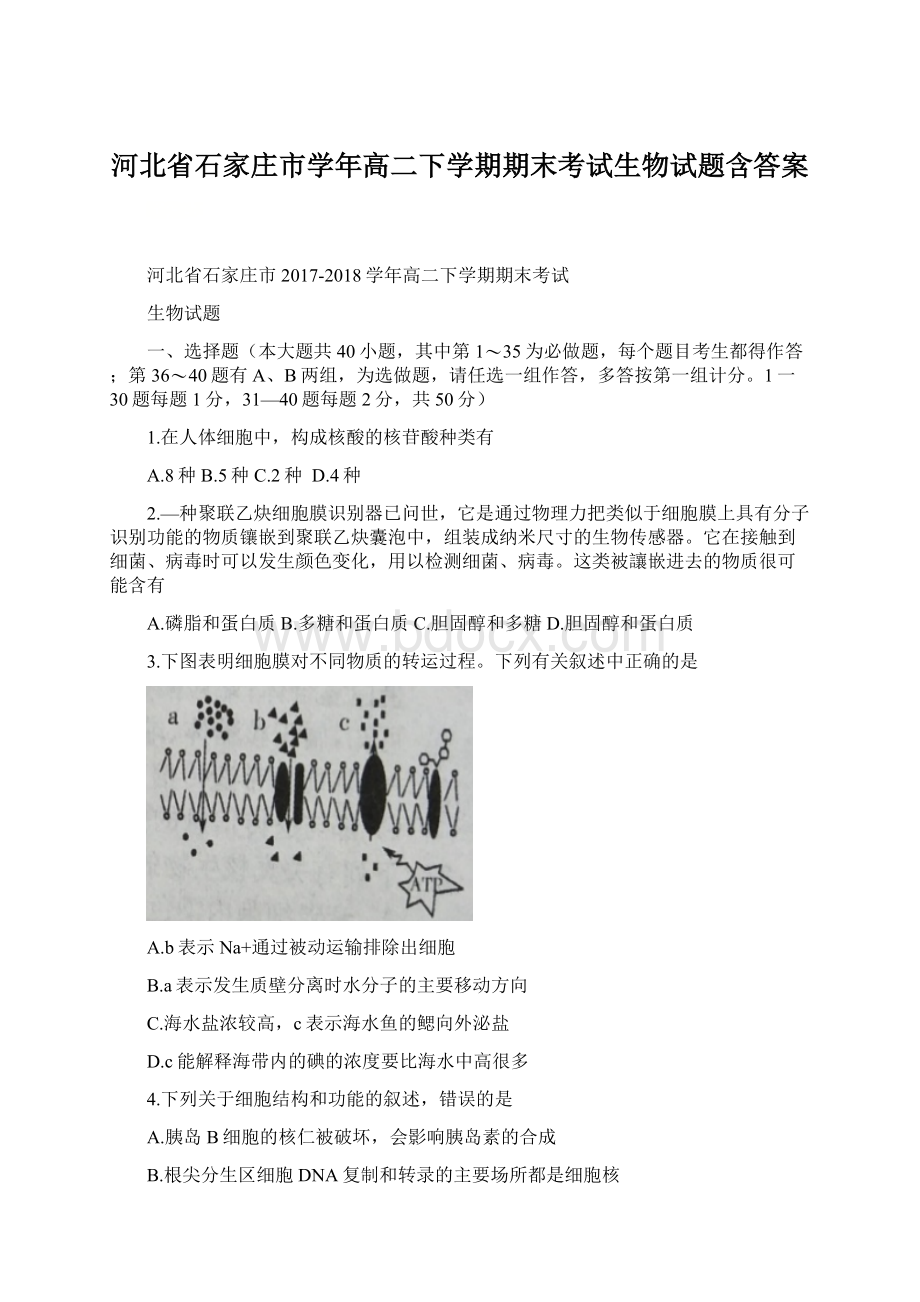 河北省石家庄市学年高二下学期期末考试生物试题含答案.docx