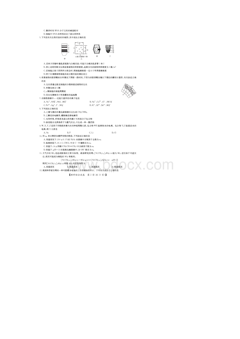 届广东省百所高中高三联考理科综合试题及答案文档格式.docx_第2页