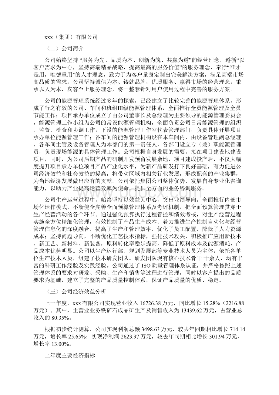 铁矿石成品矿项目投资计划书融资投资分析模板Word文档下载推荐.docx_第2页