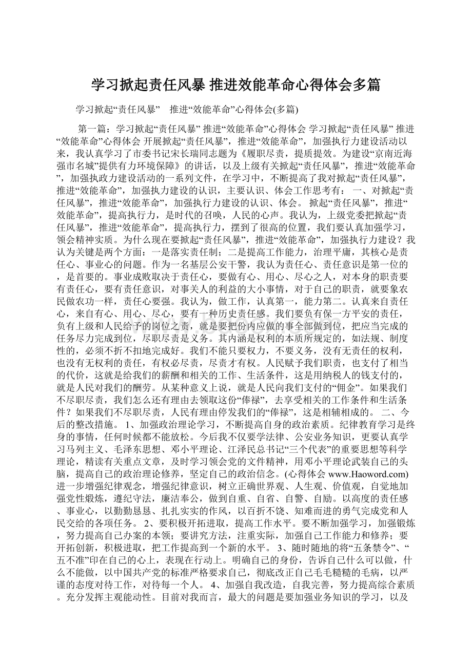 学习掀起责任风暴 推进效能革命心得体会多篇.docx_第1页