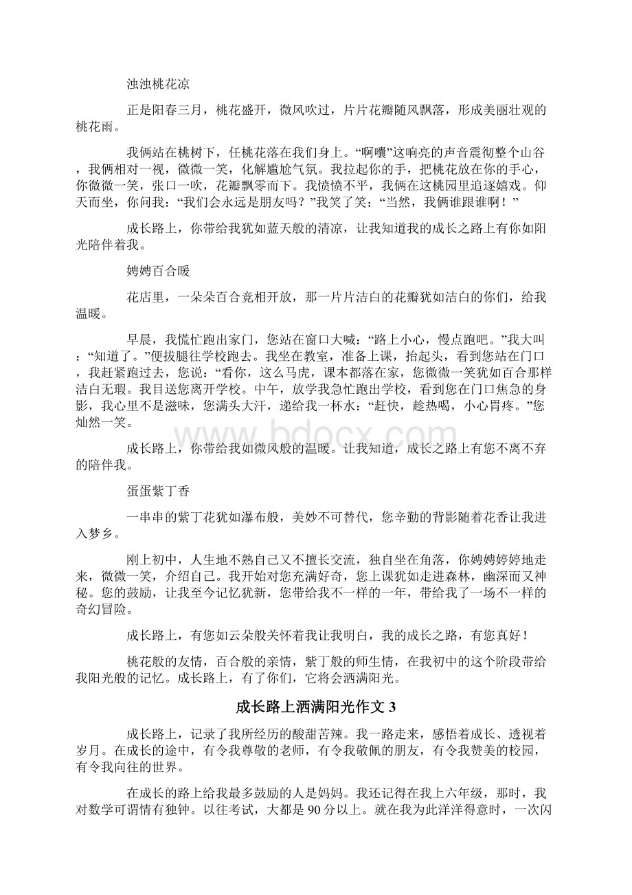 成长路上洒满阳光作文.docx_第2页